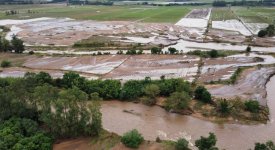 Agrônomo e analista Alcides Torres, explica impacto nas safras de grãos com enchentes no Rio Grande do Sul 