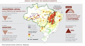 Tocantins cai no ranking de estados que mais desmatam