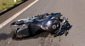  Tragédia na TO-010: motociclista morre após colisão violenta com animal