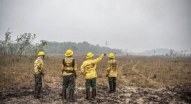 Supremo Tribunal Federal autoriza orçamento de guerra para combate a incêndios florestais e queimadas ilegais no Brasil