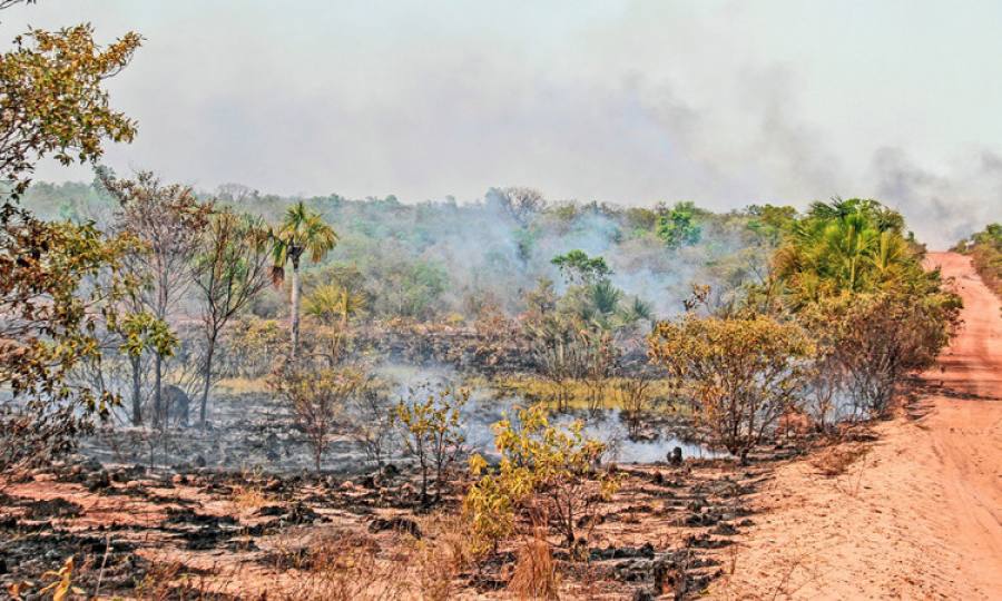 Baixa umidade e queimadas afetam saúde no Tocantins