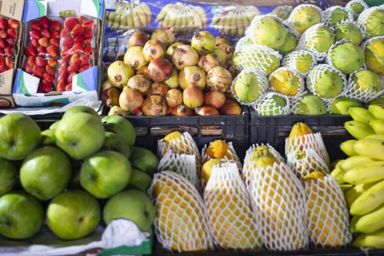 Análise dos preços de frutas e verduras no CEASA aponta diferenças de até 226% entre Goiás e Tocantins