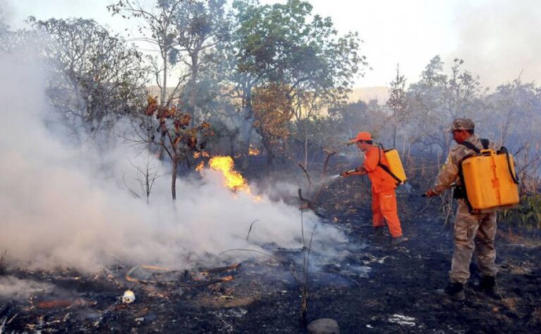 Queimadas se intensificam no Tocantins e em Goiás; Brasil enfrenta aumento crítico nos focos de incÃªndio em agosto