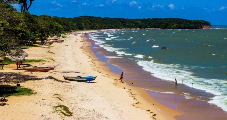 Paraíso secreto na Amazônia tem búfalos nadando nas águas cristalinas e encontro apaixonante do Rio Amazonas com o mar