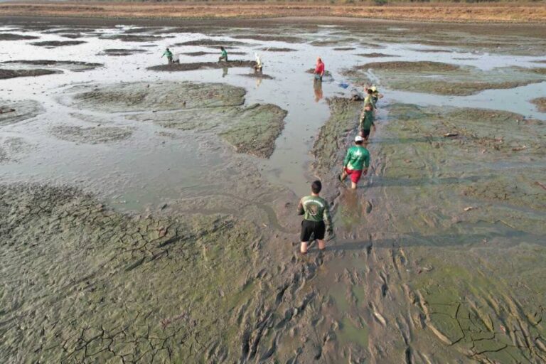 Operação Gigante do Araguaia: Tocantins resgata mais de 150 peixes em ação heroica na Ilha do Bananal