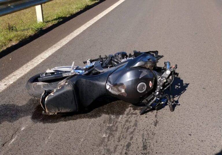 Tragédia na TO-010: motociclista morre após colisão violenta com animal