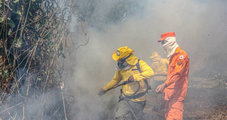 Tocantins já registrou mais de 10.880 incÃªndios em 2024; Estado ocupa a quarta posição no ranking nacional