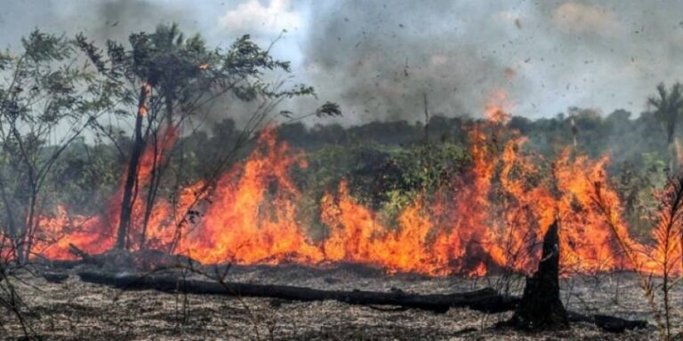 Exclusivo: Exército reforçará combate Ã s queimadas no Tocantins