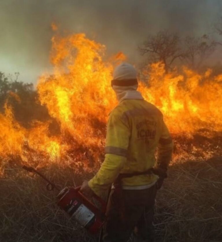 Destruição sem fim! IncÃªndio na Ilha do Bananal já consumiu 250 mil hectares