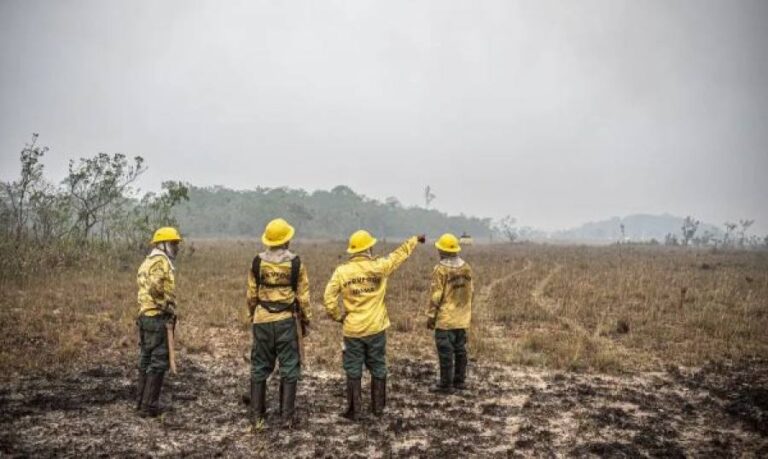 Supremo Tribunal Federal autoriza orçamento de guerra para combate a incÃªndios florestais e queimadas ilegais no Brasil