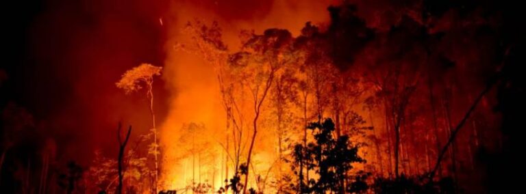 Tocantins em chamas: seca implacável e queimadas descontroladas ameaçam colapsar o estado