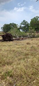 Tocantins enfrenta tempestades com raios e ventos fortes nesta semana de eleições, causando danos à rede elétrica, mas sem comprometer o processo eleitoral.