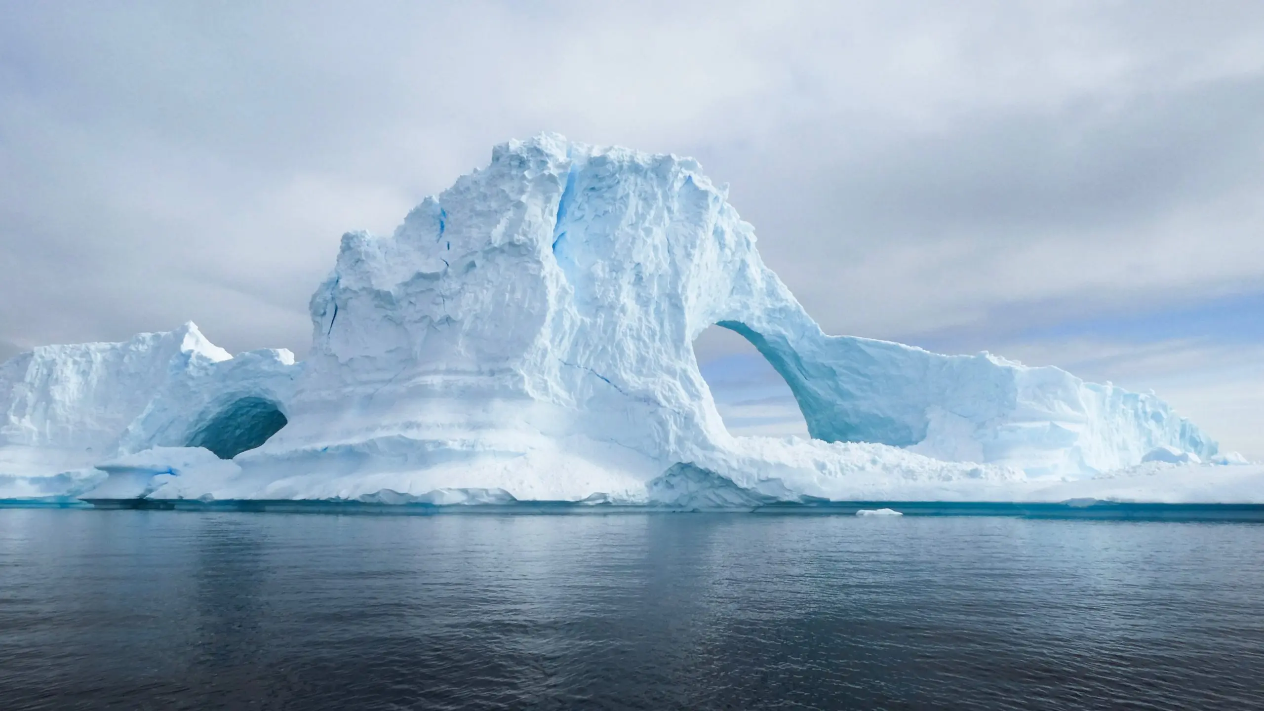 A Antártica, com seus cenários extremos e gelados, serve como um laboratório natural para pesquisas científicas globais sobre clima, biodiversidade e saúde animal.