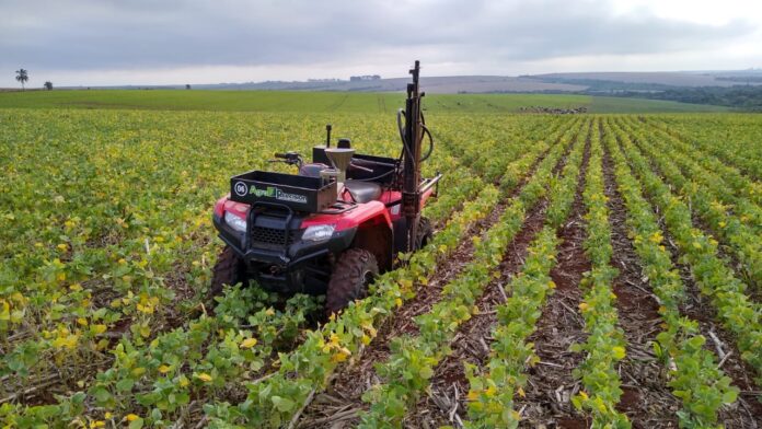 Produtores rurais no Tocantins enfrentam desafios e oportunidades com as oscilações do dólar e políticas econômicas atuais. Foto: Agência Brasil.