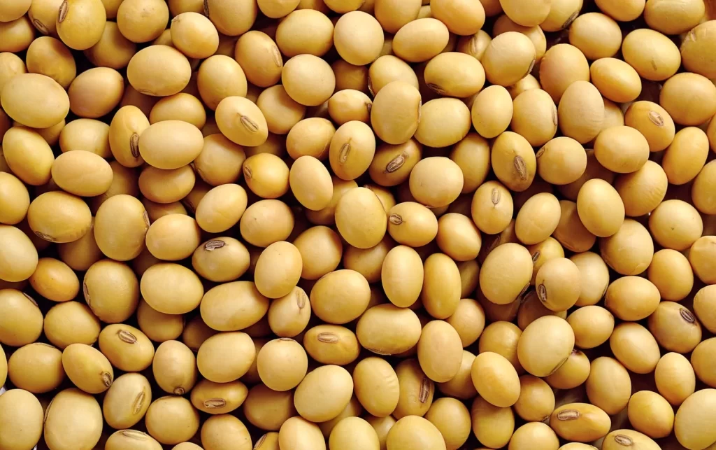 CNA defende o agro brasileiro e nega prática desleal de comércio contra os EUA