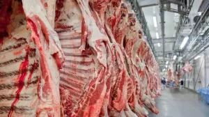 Brasil suspende temporariamente exportação da carne bovina para a China devido ao surgimento de dois casos da doença da vaca louca