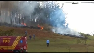 Empresário que investe em negócios rurais no Tocantins, morre com a família em trágico acidente