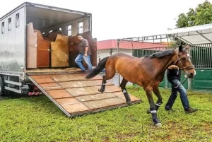 Cleiton comemora a instituição do Passaporte Equestre no Tocantins e explica benefícios