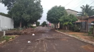 Em Colinas: ventania atinge 25 km/h, espalha poeira, derruba árvores e deixa fios de alta tensão no chão
