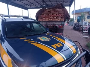 Carga de madeira ilegal misturada com madeira regular é flagrada pela PRF em Araguaína