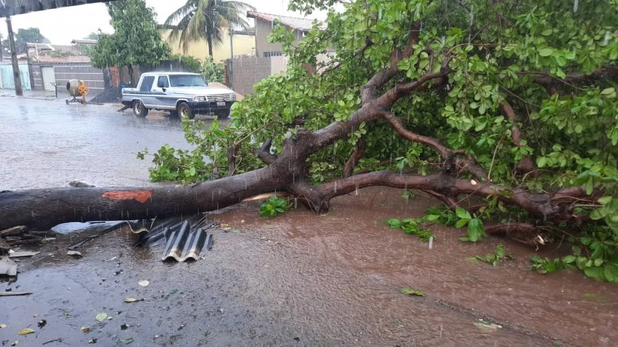 Clima agrava e traz prejuízos a moradores de Colinas; Rajada de vento chega a 50 km/h, diz Inmet