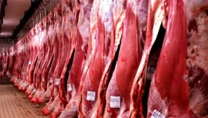Pressão nas exportações de carne bovina para a China afeta as negociações no Tocantins