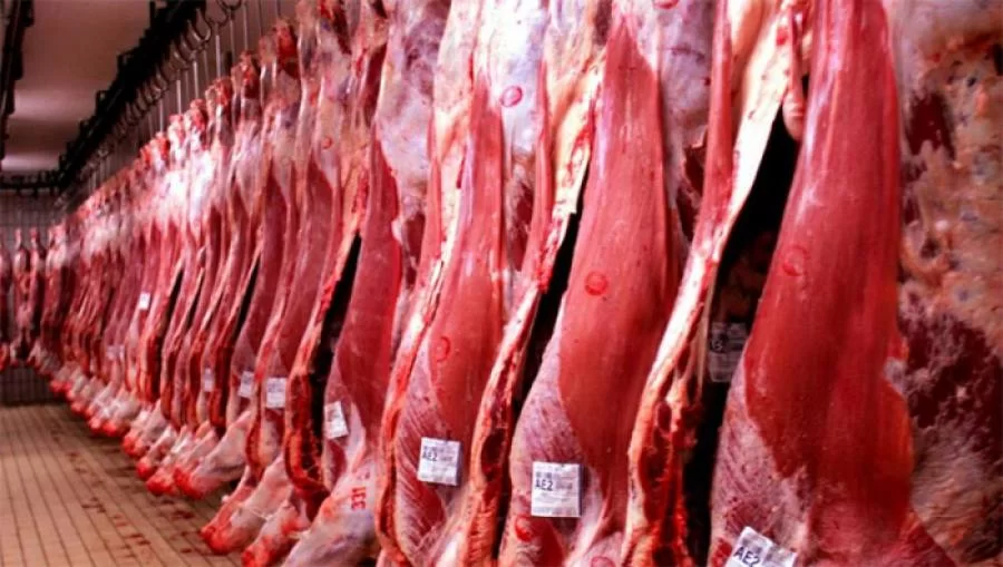 Pressão nas exportações de carne bovina para a China afeta as negociações no Tocantins