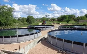 Projeto propõe dispensa de licenciamento ambiental, taxa de registro e outorga de água, aos piscicultores de tanque aéreo