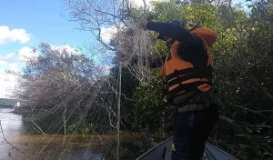 Período de seguro defeso e novas regras para a Piracema 2021/2022 são fixadas no Tocantins