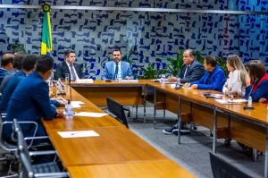 Para Dulce Miranda, reunião com Barbosa sinaliza 'respeito e reconhecimento' ao trabalho da Bancada Federal Tocantinense