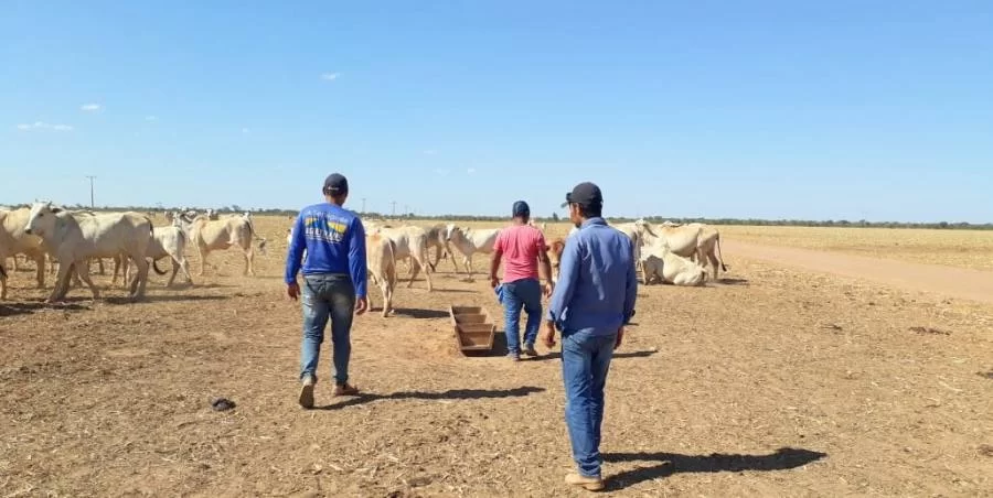 Senar capacita produtores no Curso de Trabalhador no Manejo Alimentar de Bovinocultura de Corte em Mateiros