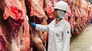 Rússia enviará comitiva para inspecionar frigoríficos brasileiros com o objetivo de abrir mercado para a exportação da carne bovina e suína