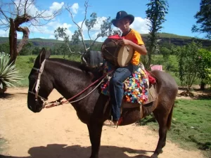 Estudantes da rede pÃÂºblica municipal de Buritirana recebem sessÃÂ£o de cinema com produÃÂ§ÃÂµes regionais
