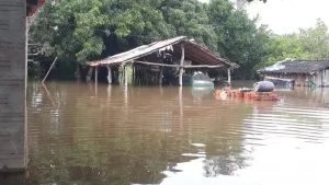 Assentamento em Palmeirante é coberto por água, famílias deixam as pressas suas casas e criações