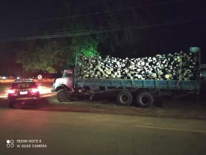 Caminhão que transportava madeira ilegal no Tocantins é apreendido