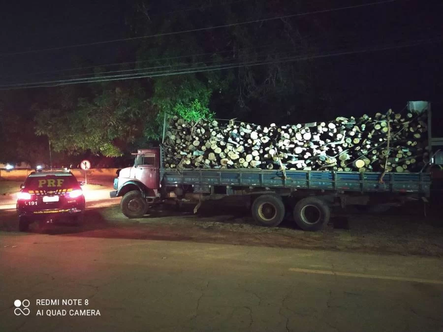 Caminhão que transportava madeira ilegal no Tocantins é apreendido