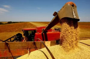 Agro em pauta Safrinha mexe no agro preços cotações e os sinais que podem mudar o mercado