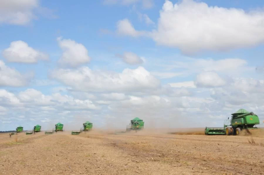 Valor da Produção Agropecuária de 2021 atinge R$ 1,129 trilhão no Brasil; Estado do Tocantins registra R$18,8 bilhões e se coloca no 10Âº lugar