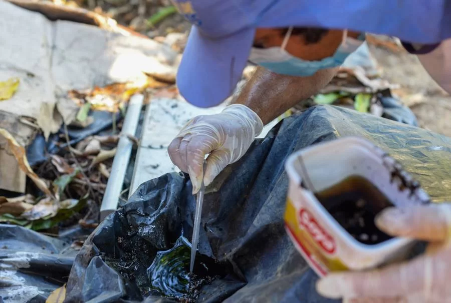 Epidemia: Fiocruz e Fundação Getúlio Vargas alertam para expansão de casos de dengue no Tocantins e em estados da região Sul do Brasil