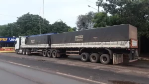 Carga com madeira ilegal é apreendida na BR-230