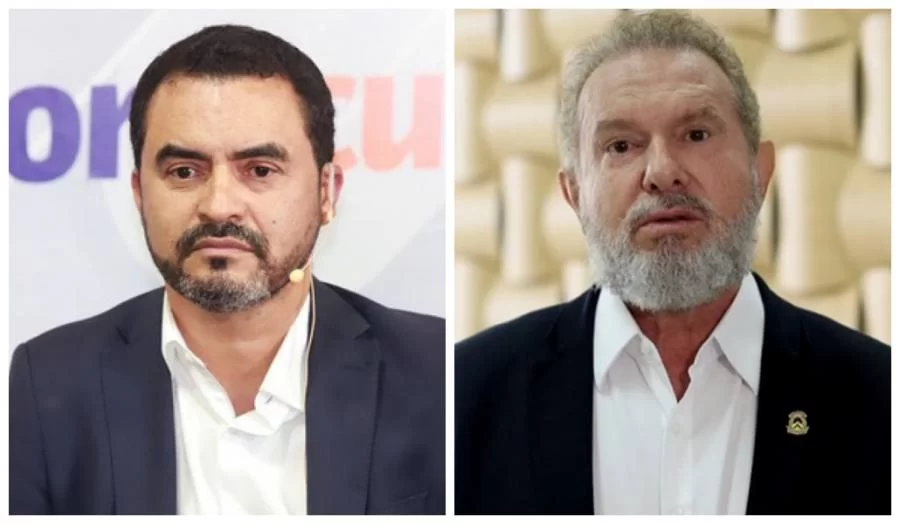 A Cara de um não é o mesmo focinho do outro!