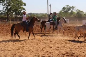 Em Colinas, setembro inicia cheio de atraÃÂ§ÃÂµes com a 21Ãª ediÃÂ§ÃÂ£o da Feira AgropecuÃÂ¡ria