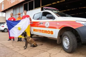Equipe de bombeiros do Tocantins e cadela Sky já atuam nas buscas por desaparecidos em Petrópolis