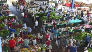 Feiras livres de Palmas já injetaram R$ 10 milhões na economia local este ano