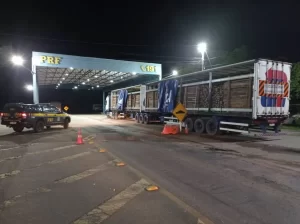 Madeira transportada ilegalmente é apreendida nesta terça-feira, 29 em Guaraí