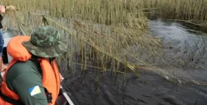 Fiscalização apreende 300 m de rede de pesca no Lago Azul e Rio Lontra