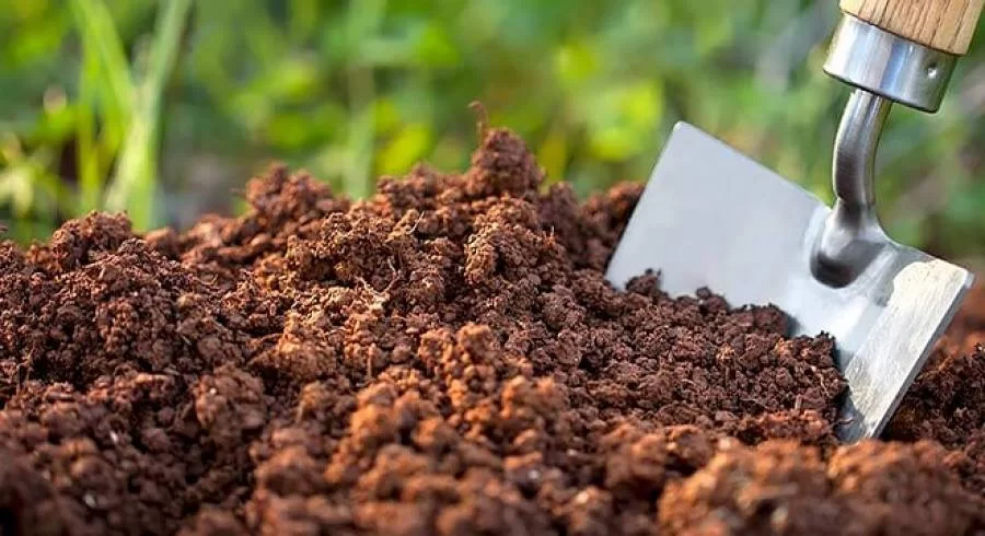 "Adubo e Fertilizantes" interfere diretamente na produção alimentícia, analista explica atual situação do Brasil