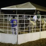 ExpoColinas 2026 entra na contagem regressiva e promete transformar Colinas em vitrine do agronegócio tocantinense