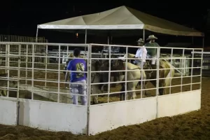 I Prova de Tean Penning emociona pÃÂºblico da Expocolinas