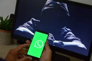 Criminosos aplicam golpe com dados da Prefeita de Palmas; especialista explica como informação pessoal é vazada